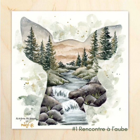 Concours 2024 1