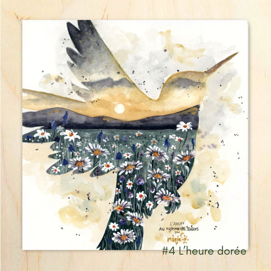 Concours 2024 4